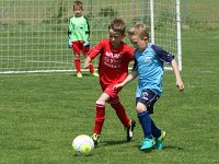 U7 U8 Turnier 13052017 (23)